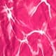 Rose vif