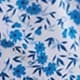 Blue and White