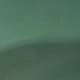 Gradient Olive Green