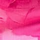 Rose vif