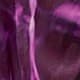 Prune