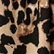 Multicolor