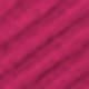 Rose vif