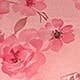 Coral Pink