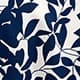 Blue and White