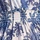 Blue and White