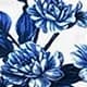 Blue Azur