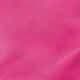 Rose vif