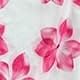 Rose bonbon