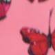 Rose bonbon