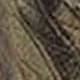 Snake Camouflage