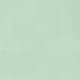 Vert menthe