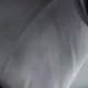 Gris pâle