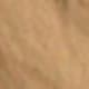 Kaki