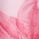 Rose bonbon