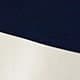 Blue Navy