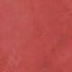 Coral Pink