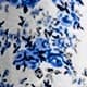 Blue and White