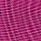 Rose vif