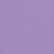 Lilac Purple