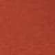 Coral Orange