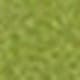 Vert olive