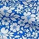 Blue and White