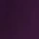 Bold Plum