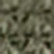 Militaire verte