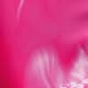 Pink Bonbon