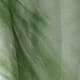 Vert menthe