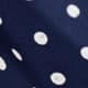 Blue Navy