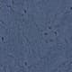 Bleu gris