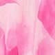 Rose bonbon