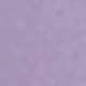 Lilac Dream