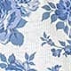 Blue and White