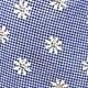 Blue and White