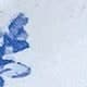 Blue and White