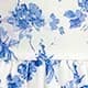 Blue and White