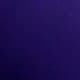 Bold Plum