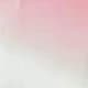 Rose bonbon