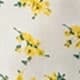 Jaune citron