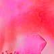 Rose vif