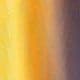 Multicolore