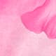 Rose bonbon