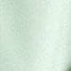 Vert menthe