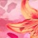 Multicolore