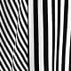 Black and White
