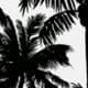 Black and White