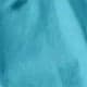 Bleu canard